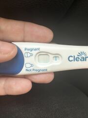 Could this be start of BFP?