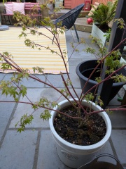 What's wrong with my Acer?
