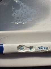Due February 2026 ✨
