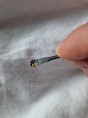 Blocked pore(?) in 4 year old ear