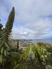 Minack Open Air Theatre - catering
