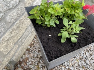 Soil concern