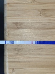 In the dreaded 2 week wait