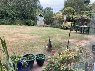 The Bluestocking Women’s Pub - Where Everybody Knows Your Username