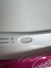 13dpo line progression