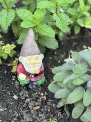 Daily Project round 7