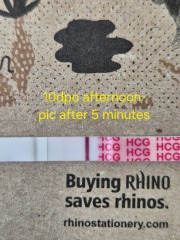 10dpo Please, what do you think?