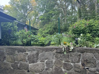 Come and tell us your dull and unexciting news 33: Calmly through the day