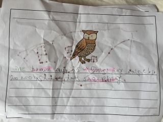 Writing reception