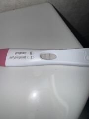 Tww June 2025🩷🩵