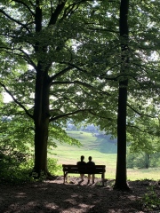 The Bluestocking Women’s Pub - Where Everybody Knows Your Username