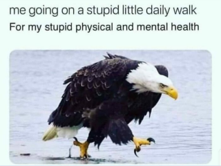 This made me howl laughing.  Anyone else heard a funny joke or seen a funny meme?