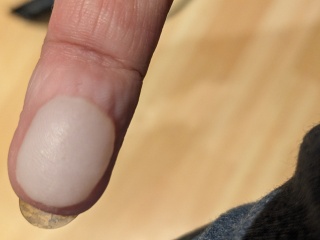 Come and tell us your dull and unexciting news 33: Calmly through the day