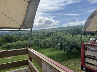 Come and tell us your dull and unexciting news 34: Calmly through the day