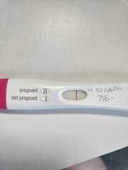 Clear blue vs frer.