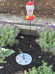 Daily Project round 7