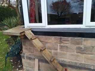 Roond and roond and up and doon - the Excellent Cats roam aboot