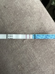 Ovulation test help