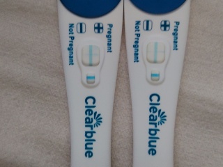 What do you think of these tests