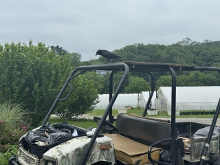 Come and tell us your dull and unexciting news 33: Calmly through the day