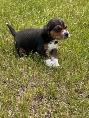 Help me name this little lady?