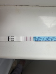 June/July TTC Thread❤️