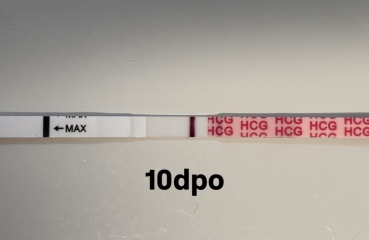 9-12dpo no progression, chemical?