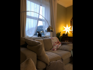 To show you my cat and her kittens for distraction and stress relief purposes?