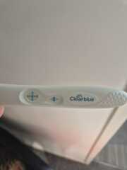 Due February 2026 ✨