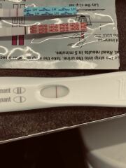 Tww June 2025🩷🩵