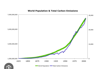 AIBU not to buy in about all of this net zero/environmentalism?