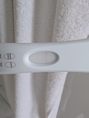 JUNE 2025 Trying To Conceive Thread