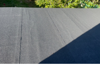 Flat roof advice