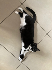 Thread 18 - TalkLair: "That's no moon. It's a space station!"