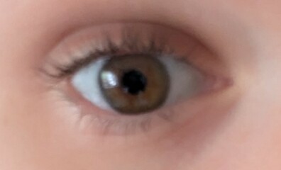 Lash Lift after 2 weeks