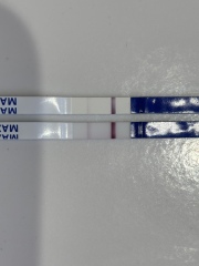 Progression psycho right here