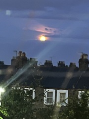 Roond and roond and up and doon - the Excellent Cats roam aboot