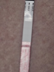 Possible Faint Line or Evap Lines?