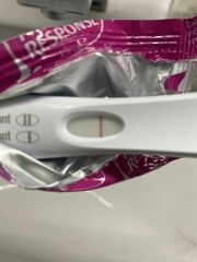 Tww June 2025🩷🩵