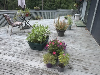 Come and tell us your dull and unexciting news 34: Calmly through the day