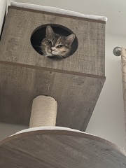 Moving to an apartment