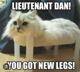 This made me howl laughing.  Anyone else heard a funny joke or seen a funny meme?