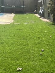 Stepping stones/path advice