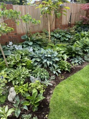 What have you done in the garden today? Part 7