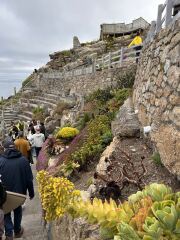 Minack Open Air Theatre - catering