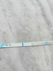 Positive? 12 dpo.