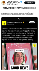 Amnesty International what has happened to you?