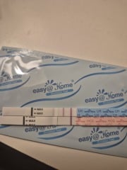 In the dreaded 2 week wait