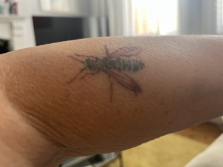 Hate my new tattoo