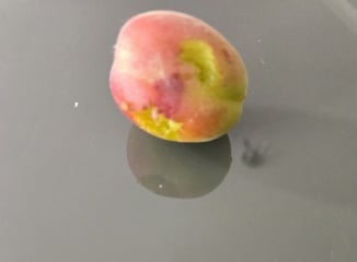 Name ?